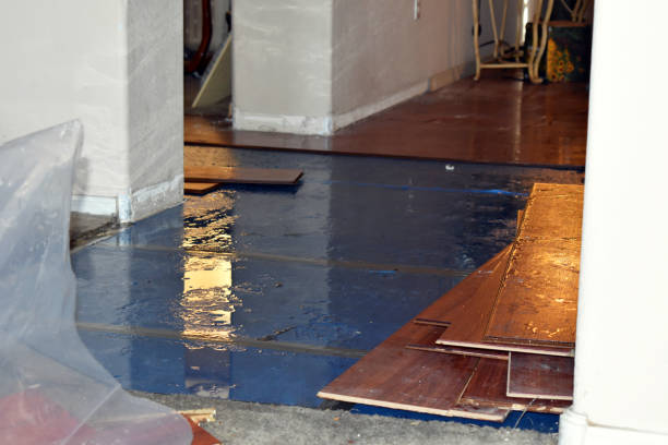 Professional Basement Flood Cleanup technician working in Highland, IN